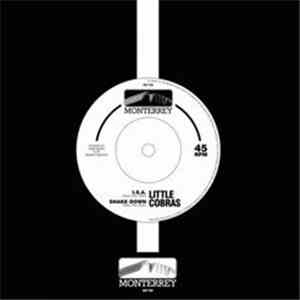 Little Cobras / The Hollers - Little Cobras / The Hollers