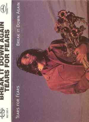 Tears For Fears - Break It Down Again