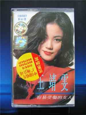 王靖雯 - 容易受傷的女人