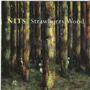 Nits - Strawberry Wood
