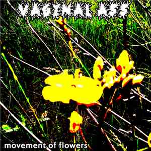 Vaginal Ass - Movement of flowers