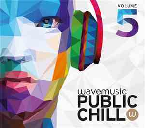 Various - Public Chill Volume 5