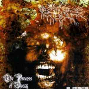 Cuff  - The Process Of Decay