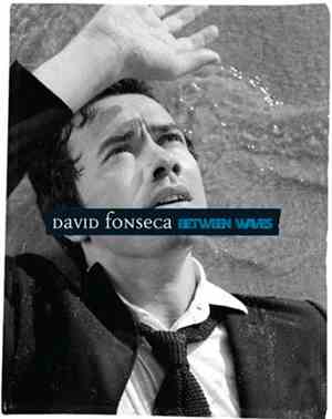 David Fonseca - Between Waves