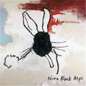 Nine Black Alps - Everything Is