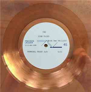 Pink Floyd - Terminal Frost
