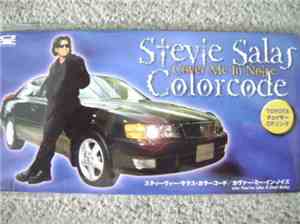 Stevie Salas Colorcode - Cover Me In Noise