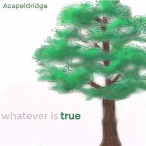 Acapeldridge - Whatever Is True