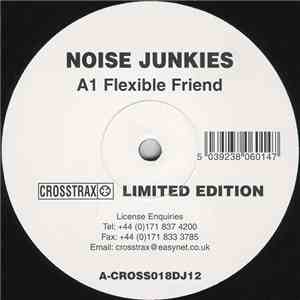 Noise Junkies - Flexible Friend