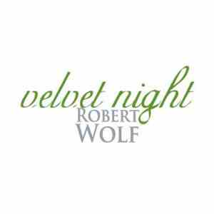 Robert Wolf - Velvet Night