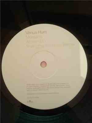 Venus Hum - Montana