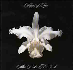 Kings Of Leon - Aha Shake Heartbreak