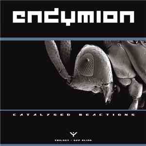Endymion - Catalysed Reactions Part 1