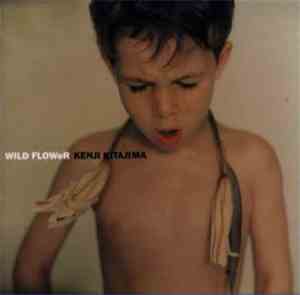 Kenji Kitajima - Wild Flower