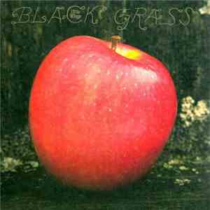 Little Wings - Black Grass