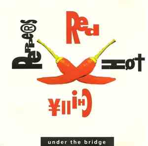 Red Hot Chili Peppers - Under The Bridge / Live