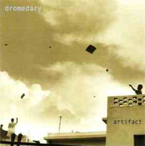Dromedary - Artifact