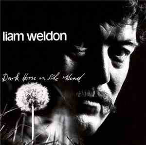 Liam Weldon - Dark Horse On The Wind