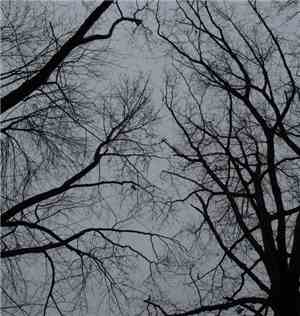 Memory Blank - COLD THINGS