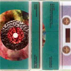 Pregnant Spore - Pristine Brain