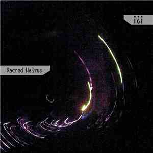 ¡¿¡ - Sacred Walrus