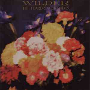 The Teardrop Explodes - Wilder