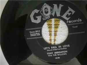The Willows - Let's Fall In Love