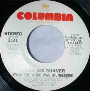Billy Joe Shaver - When The Word Was Thunderbird
