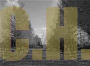 C.H. - C20