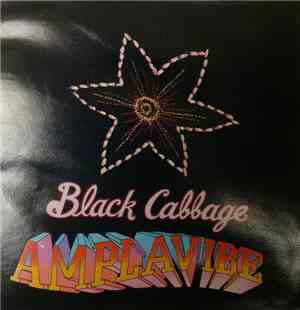 Black Cabbage - Amplavibe