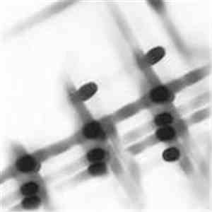 Gregor Samsa - 27:36
