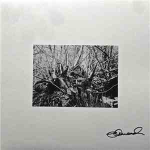 Thisquietarmy - Rebirths