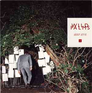 Wild Palms - Deep Dive