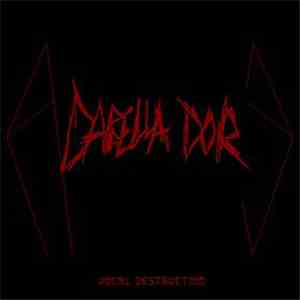 A Cappellacore - Vocal Destruction