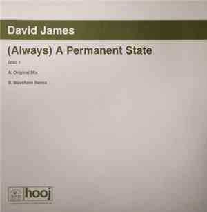 David James - (Always) A Permanent State