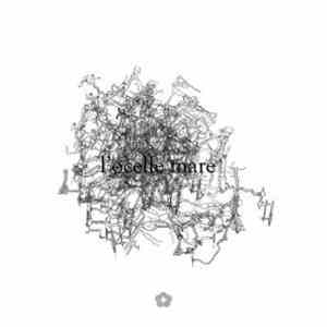 L'ocelle Mare - L'ocelle Mare