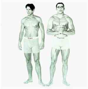 Sparks - Plagiarism