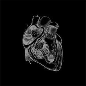 Borealis - Of The Heart Increased