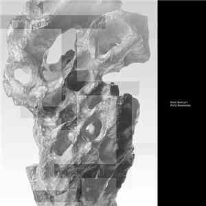Mike Shiflet / Pete Swanson - Split