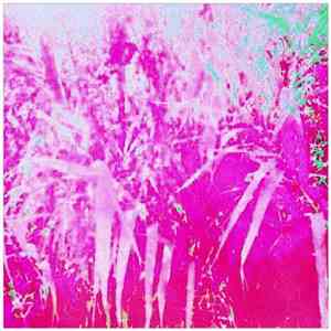Mojave Red - Creeper
