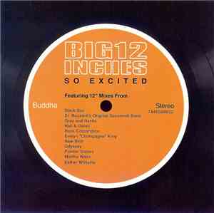 Various - Big 12 Inches (So Excited)