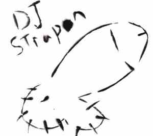 DJ Strapon - Pegging The Popcharts