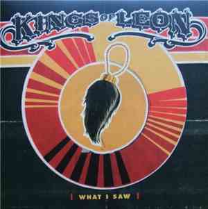 Kings Of Leon - What I Saw