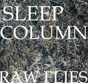 Sleep Column - Raw Flies