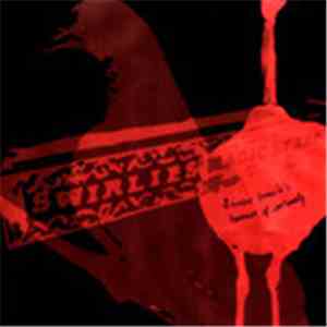 Swirlies - Winsome Zamula's Hammer Of Contumely