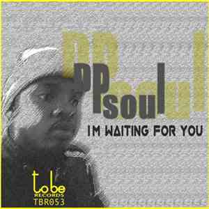 Dpsoul - I'm Waiting For You