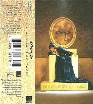 Enya - The Memory Of Trees