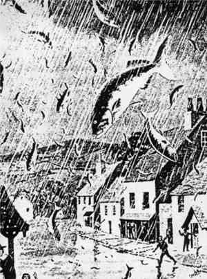 Various - The Rain Of Fish