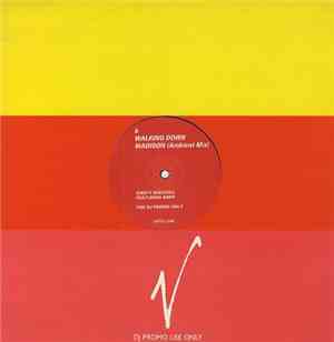 Kirsty MacColl Featuring Aniff - Walking Down Madison