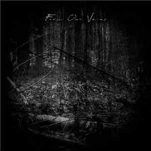Lost Inside / Final Thoughts / Endless Sorrow - From Our Veins